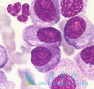 ���������������ƶ෢�Թ�������ҩ�ﻹ����Щ