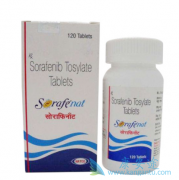 ��������(SORAFENAT)���ַ�����İ�ȫ�ԶԱ�