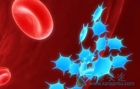 ������ܰ���