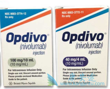 纳武单抗 纳武单抗