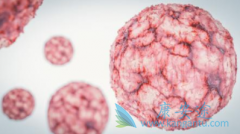 �����ܰ������Ʒ����ʺ����껼��