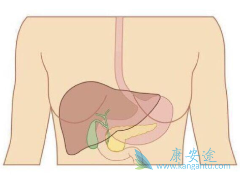 肝癌腹水 肝癌腹水