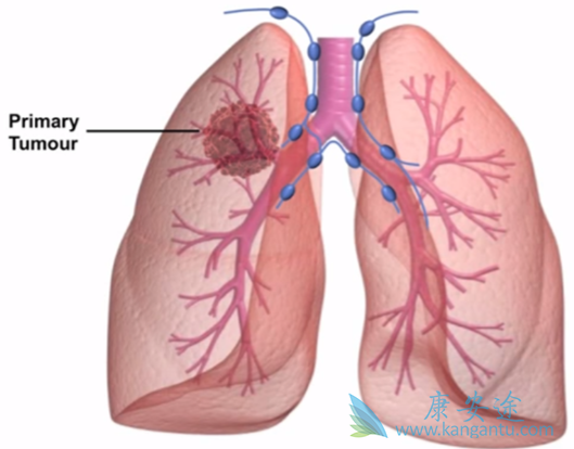 ��Сϸ���ΰ�