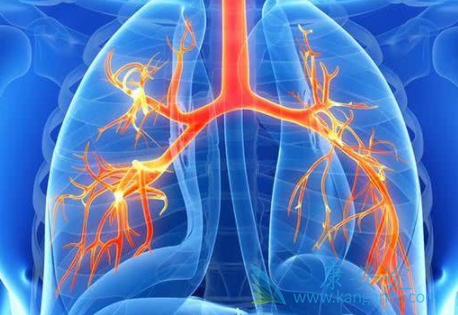 安罗替尼 安罗替尼