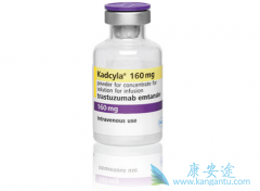 T-DM1������������HER2-����ת���鰩����