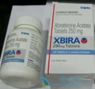 ӡ�Ȱ�������(XBIRA)�������׹ؼ����ǲ������泧�������ķ���ҩ