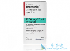 PD-L1����ҩ��Atezolizumab�ı���Сϸ���ΰ�ҩ�ĵ����