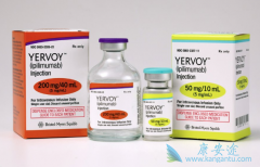 CTLA-4��PD-1������Ŀǰ��Ϊ�����������������Ʒ���