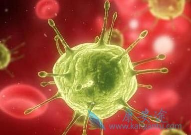 ��ķ����