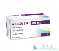 ��ϣ�������������Ʒ�Сϸ���ΰ��ĵ������������EGFR-TKI
