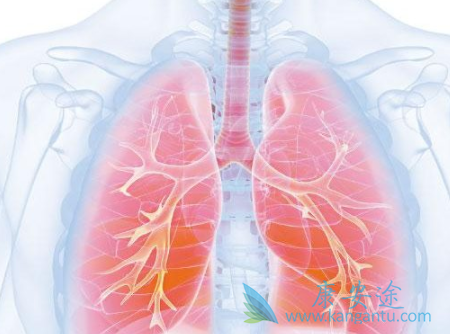 波齐替尼 波齐替尼