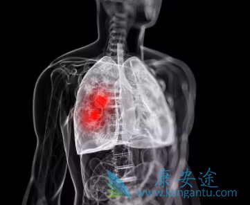 布加他滨 布加他滨