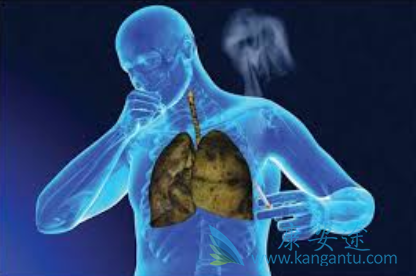 恩沙替尼 恩沙替尼