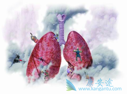 恩沙替尼 恩沙替尼