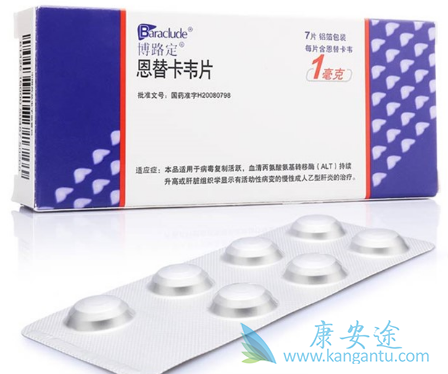 恩替卡韦 恩替卡韦