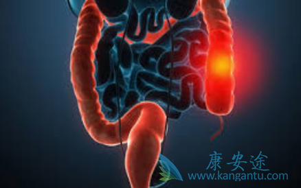 西妥昔单抗 西妥昔单抗