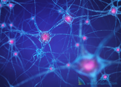 FLT3���Ի����Ͱ�Ѫ����ҩ�׵���˹(Rydapt)������