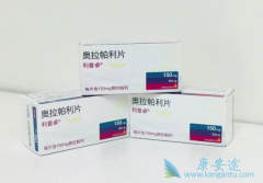 �����������׸���������BRCAͻ��ת�������ٰ����ߵ�PARP���Ƽ�