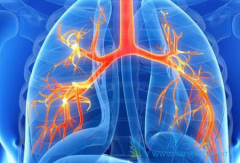 �ΰ��������ϰ���ҩ���ܷ�Ϊ���ߴ�������Ļ���