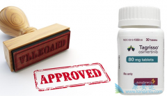 T790M����ͻ��ķ�Сϸ���ΰ����߿���ʹ�õ�����EGFR-TKI��ϣ����