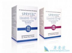 ��ɳ�������������һ������CML����Ч�Ա�