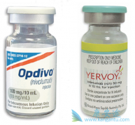 PD-1���Ƽ���CTLA-4���Ƽ���Ŀǰ���������ְ�֢�����Ʒ�