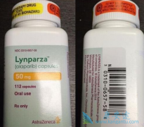 �ڽ��������������(lynparza)��Ӧ֢�ٴλ������