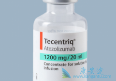 ��Щ��·��Ƥ�����ߴ�Tecentriq(atezolizumab)�����л������