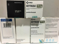 27%�����ڷΰ�����һ�����ƿ�ѡ��ķ����(keytruda)