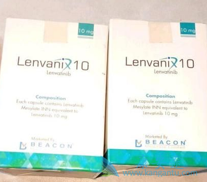 �ַ�����