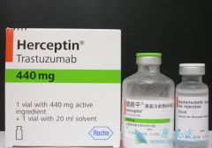 HER2�������ٰ�����ʹ�������鵥��������Ч��