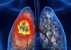 ����������ҩ�������ת�ƵĻ��߿��Գ�ɫ��������