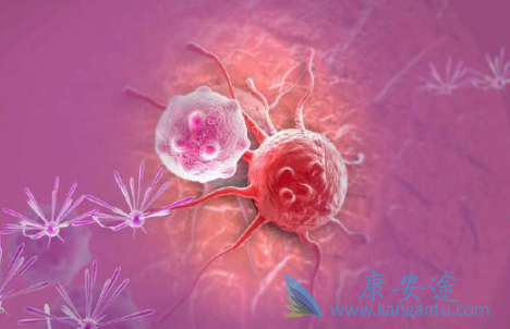 θ����������