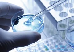 ���޿���Ϊ����ɳ��ҩ���ѡ����Ч�Ը���