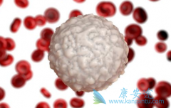 ��Ѫ���ɷ�Ϊ�������ͣ��������Ͱ�Ѫ������Ԥ��