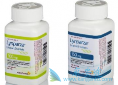 ������������BRCA�ѳ����������ڸ��ڰ�ο����������