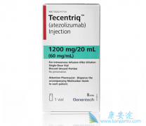 ����ҩ��PD-L1����atezolizumab���ϻ�������Сϸ���ΰ��Ľ�չ
