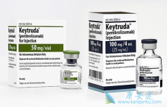 ��ķ����/Kҩ�����ϻ���������ΪNSCLC���ߵ�һ�����Ʒ���