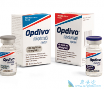 ���䵥��/Oҩ����Щ����֢��Ҫ����������ͣҩ��