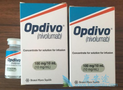 �����䵥��(Opdivo)����ʱ����ʹ����̴�