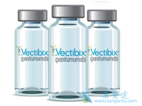 帕尼单抗 帕尼单抗