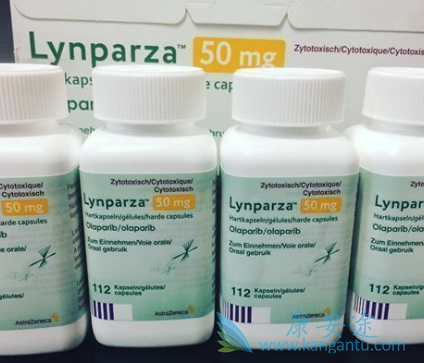 PAPR抑制剂 PAPR抑制剂