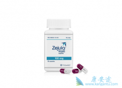 ȫ������������PARP���Ƽ���������Zejula������Ч��