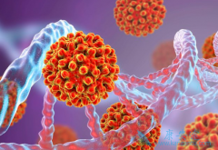 ���ΰ�����ҩ���ڸΰ������е�Ӧ�ú���Ч