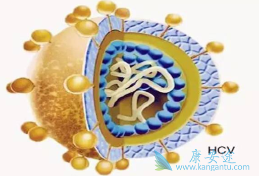 丙肝的危害 丙肝的危害