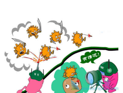 丙型肝炎 丙型肝炎