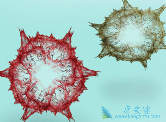 索磷布韦 索磷布韦