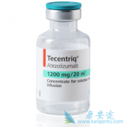 PD-L1����Atezolizumab�������������벬�໯��ҩ�����Ʒΰ���Ч��