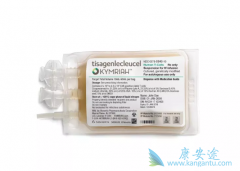 CAR-T�Ʒ�Yescarta��Kymriah��Ŀǰȫ�����������ϸ������ҩ��