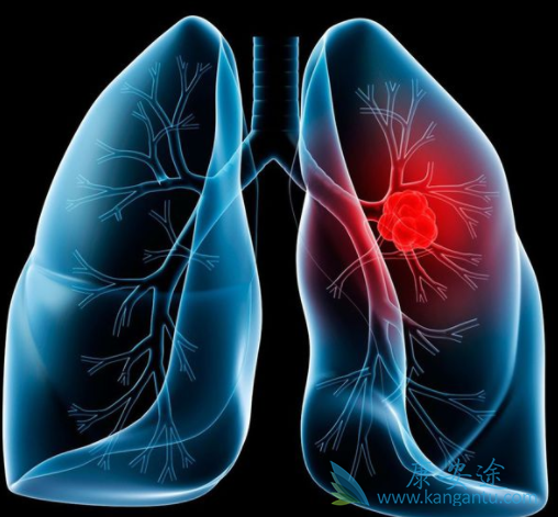 ��ƥľ����